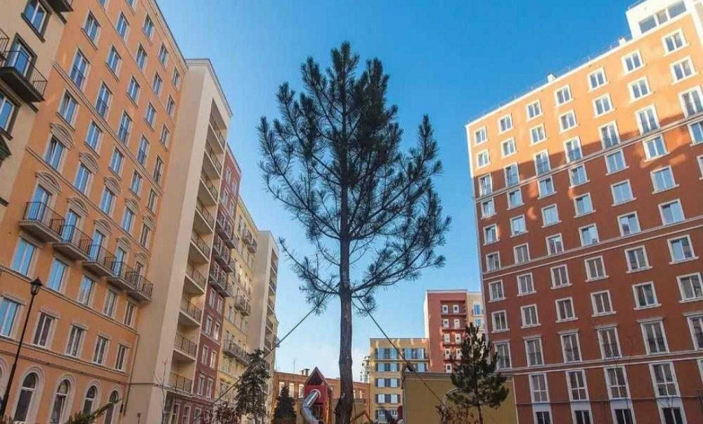 1к. квартира 35м2 Via Roma Одеса - зображення 4