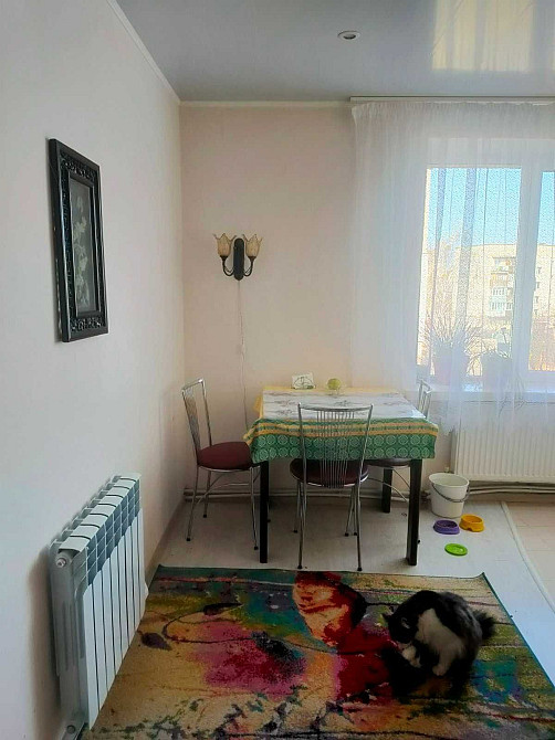 1-к квартира, біля центру, ремонт, меблі Немішаєве - зображення 3