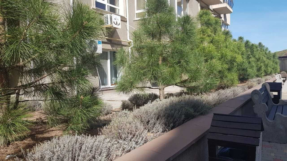 Продам квартиру с ремонтом в топовом ЖК Одесса - изображение 1