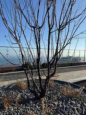 Продам двухкомнатную квартиру в ЖК Атмосфера Одеса