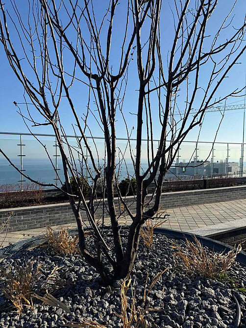 Продам двухкомнатную квартиру в ЖК Атмосфера Одеса - зображення 5