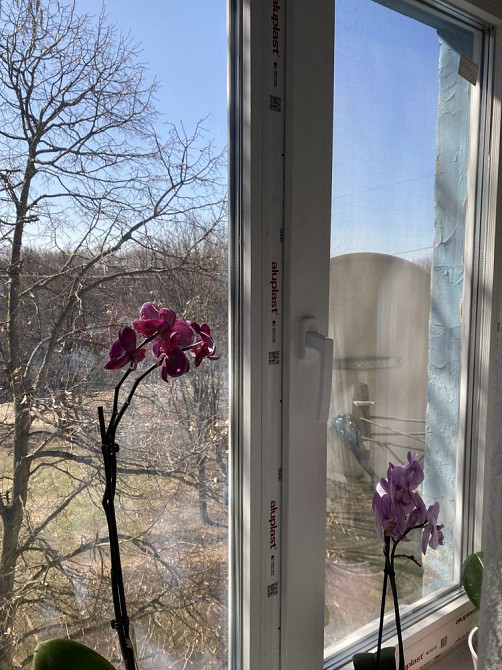 Продам 2-х ком. квартиру Лозова - зображення 1