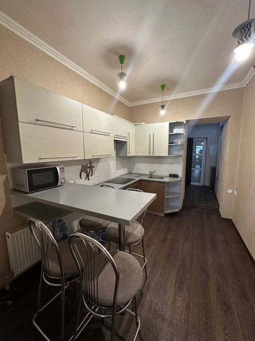 Квартира на Антоновича (Свердлова). Правый берег. 1к. Днепр - изображение 6