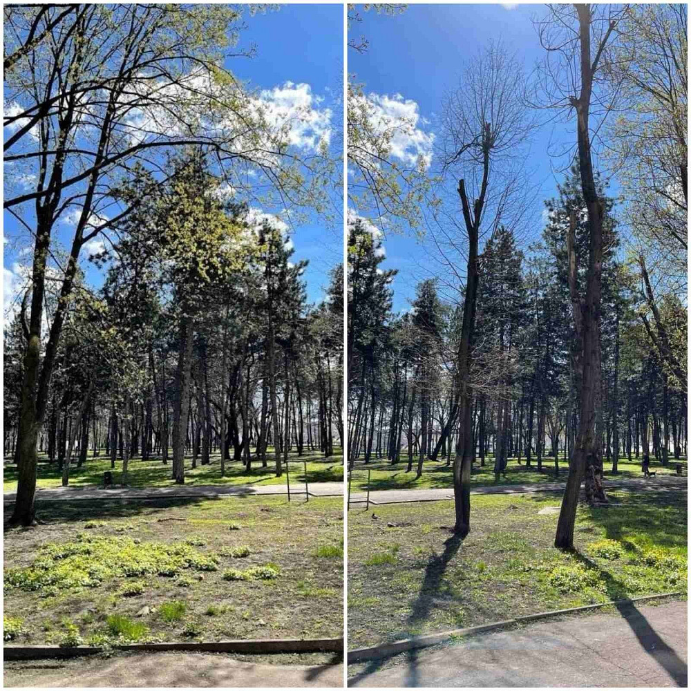 Сдам 2-х комнатную квартиру на пр. Поля Днепр - изображение 8