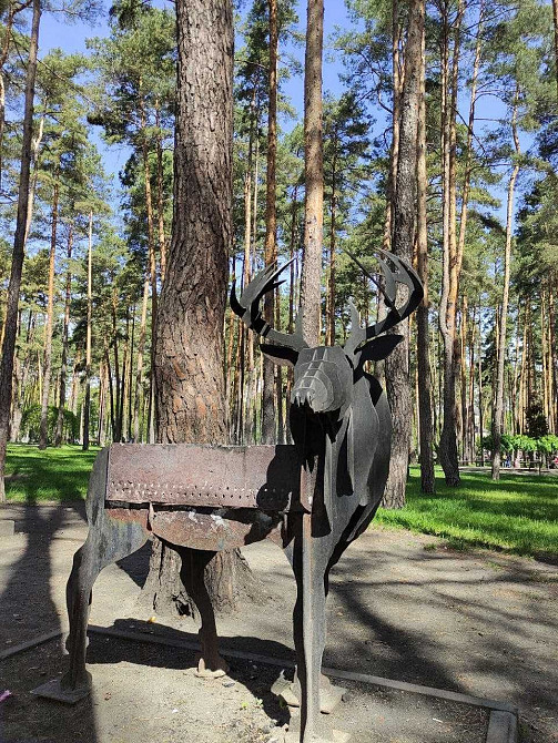 Оренда просторої 1-к в ЖК "Сіті парк", Центральний парк Ірпінь - зображення 7
