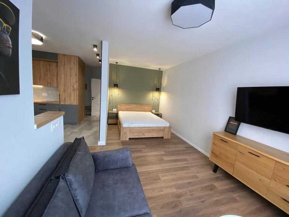 Оренда 1 кімнатної квартири,пр-т Перемоги 67,ЖК San Franciscо,м Нивки Киев - изображение 7