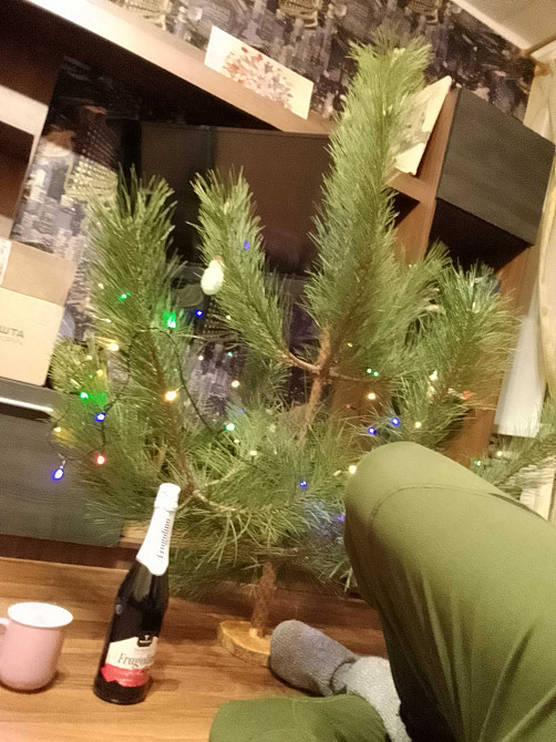 Сдам 1-но комнатную на Коротченко ( 173 КВ) Кривой Рог - изображение 6