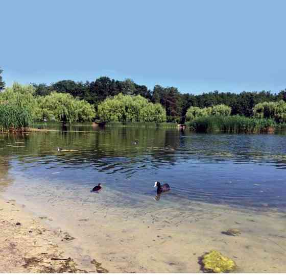 Квартира в Києві по доступній ціні,без комісії,в Дарницькому районі. Киев