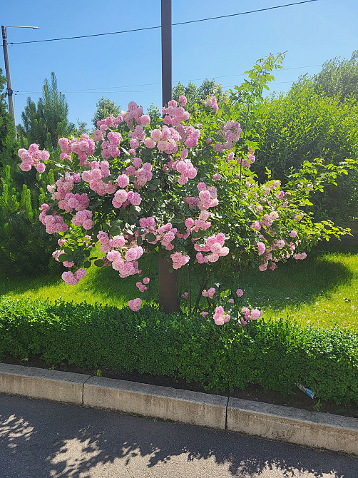 Аренда кв-ры 80м.кв. на Волне Запоріжжя - зображення 2