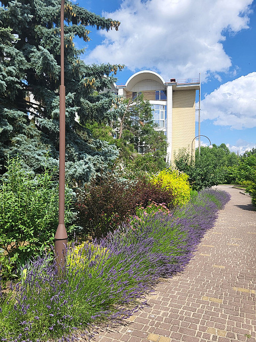 Аренда кв-ры 80м.кв. на Волне Запоріжжя - зображення 3