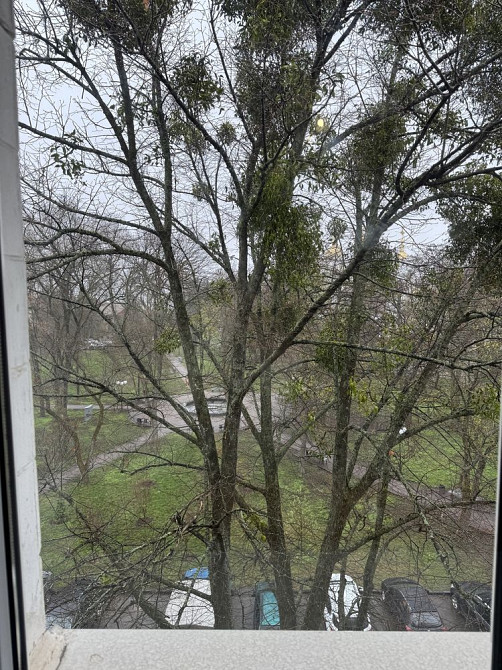 Продам 2х кімнатну квартиру в центрі Полтави біля альтанки Полтава - зображення 6