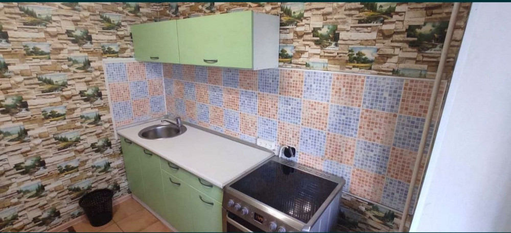 1 квартира, Рабочая, Надежды Алексеенко, можно с мал. животным Дніпро - зображення 7