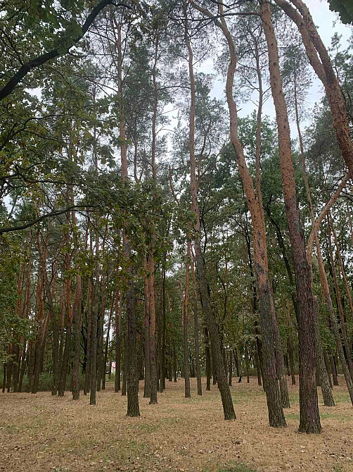 Без%. Квартира від забудовника. Поряд метро Бориспільська, парк. Киев - изображение 6