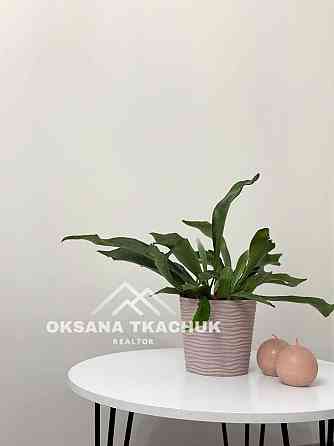 1-кімнатна квартира з ремонтом, газом Кришталеві Джерела Метрологічна Киев