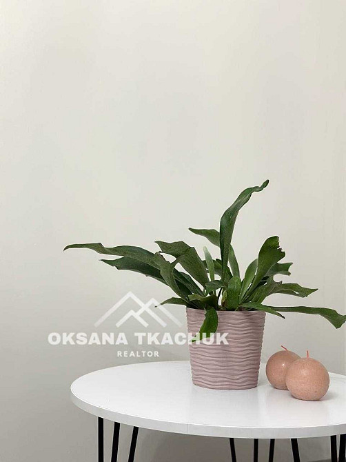 1-кімнатна квартира з ремонтом, газом Кришталеві Джерела Метрологічна Киев - изображение 2