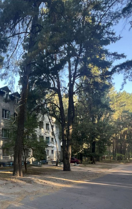 Продам 1ком.Квартиру с видом на лес Чернігів - зображення 1