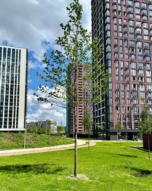 Dibrova Park - 1К квартира 44.3 кв.м. 22/25 поверх Київ - зображення 4