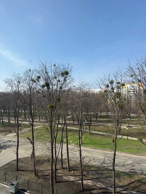 25000 ЖК Мира 3 Вид на парк Продам 1 комнатную квартиру S-42кв.м.AS Харьков - изображение 4