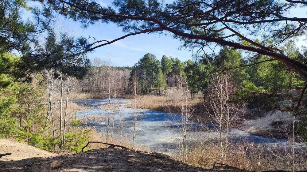 Сімейна тихе житло серед хвойного лісу Деснянський р-н Розтермінування Киев - изображение 4