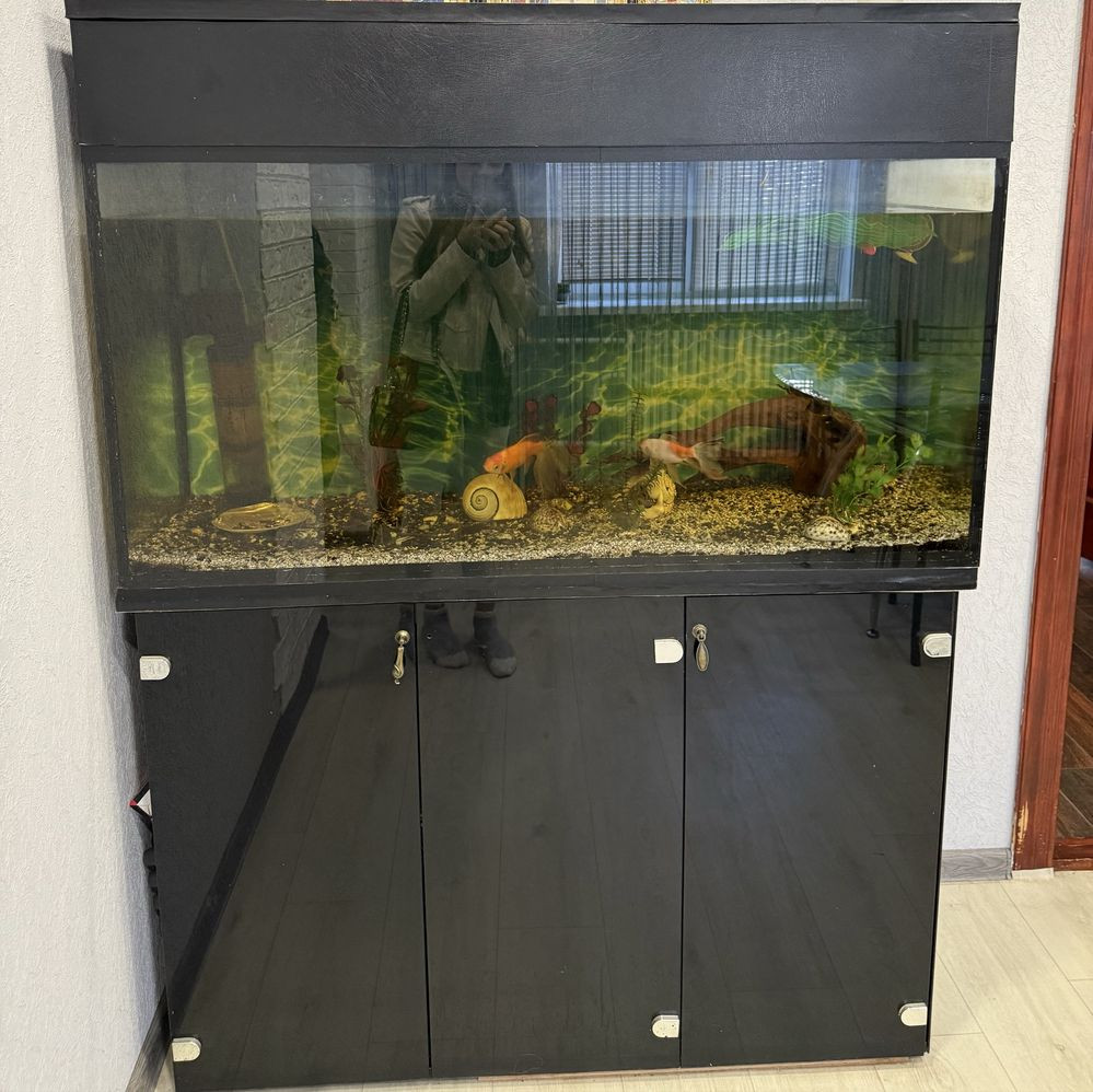 Продам квартиру лівий берег 4 мкр Кам`янське (Запорізька обл.) - зображення 8