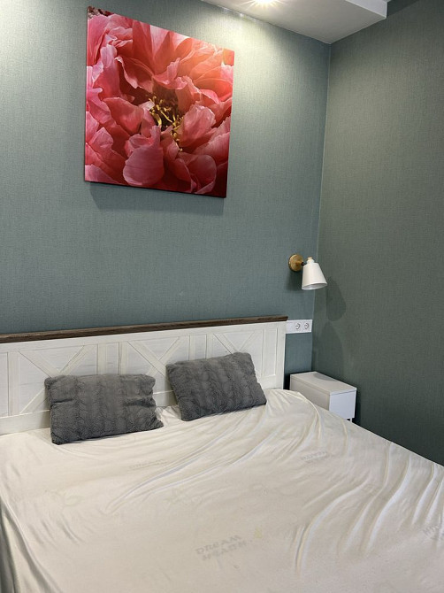 Оренда однокімнатної квартири вул. Малоголосківська ЖК Делюкс Львов - изображение 3