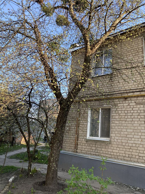 Продам свою 1 к.кв,31кв.м, Ст.Салтовка,5мин.м.Ак.Барабашова,авторынок Харьков - изображение 7