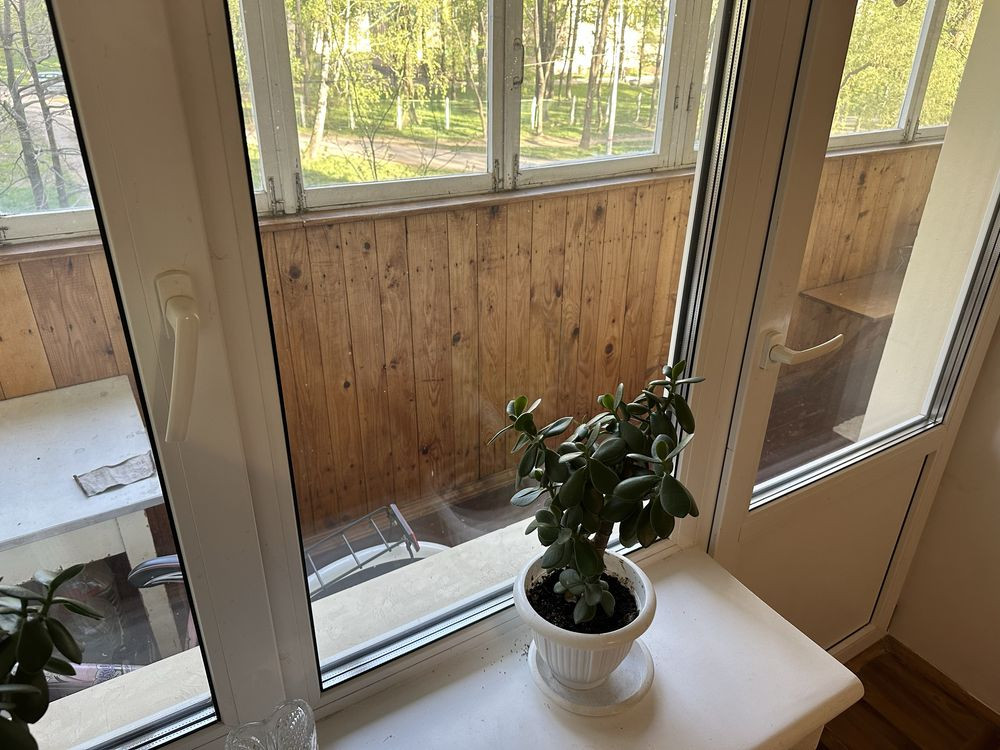 3к Микільська Борщагівка Доманицького Потапова Святошинський Киев - изображение 5