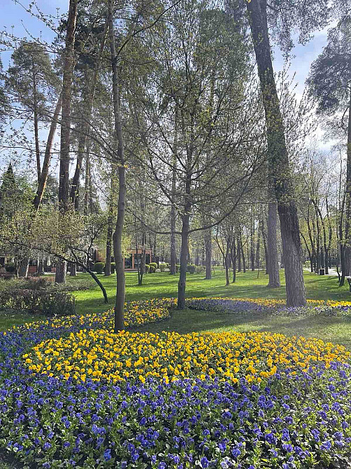 Продаж квартири студії з балконом біля парка, метро. Забудовник. Киев - изображение 5