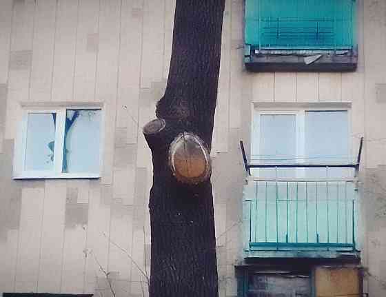 Продам однокімнатну квартиру Александрия (Ровенская обл.)