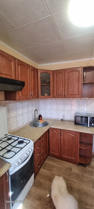 Сдам 1 кімнатну квартиру Лісовий проспект 3 Киев - изображение 7