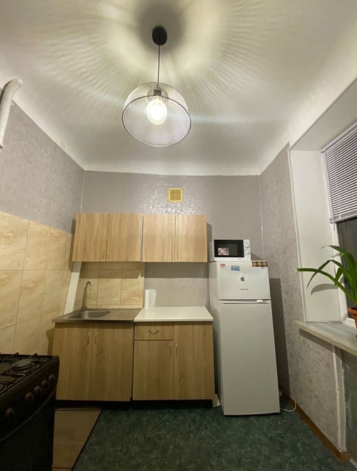 Аренда 2 ком Центр Галини Романової АВТОНОМНЕ ОПАЛЕННЯ 2 поверх Каменское (Запорожская обл.) - изображение 3