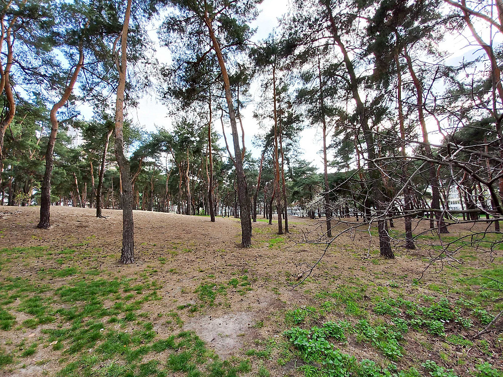 Здам 1к квартиру Лісовий масив метро Чернігівська Лісова вул.Мілютенка Киев - изображение 8