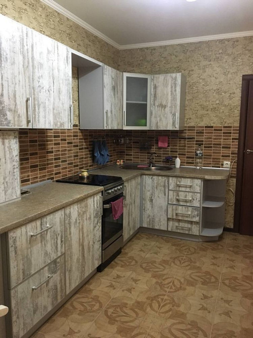 Однокімнатна квартиру в оренду БЕЗ КОМІСІЇ МОЖНА З ТВАРИНАМИ Софиевская Борщаговка - изображение 4