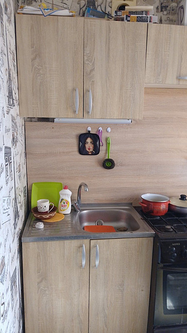 Сдам однокомнатную квартиру Каменское (Никопольский р-н) - изображение 5