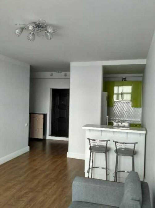 Оренда 1-кімнатної квартири вул. Ігоря Сікорського 4б Киев - изображение 1