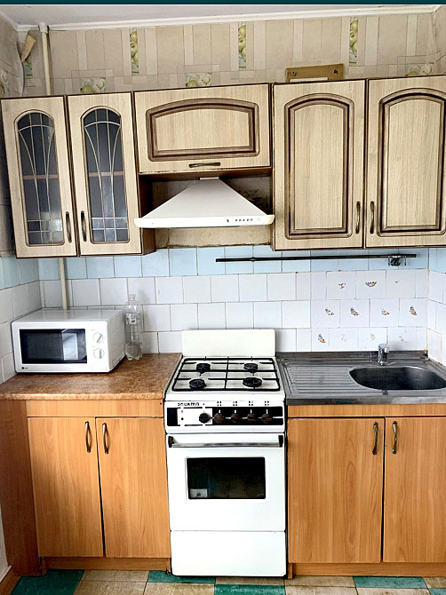 Большая 1комн кв-ра 15мкрн Хортицкий (с собакой можно) Запоріжжя - зображення 4