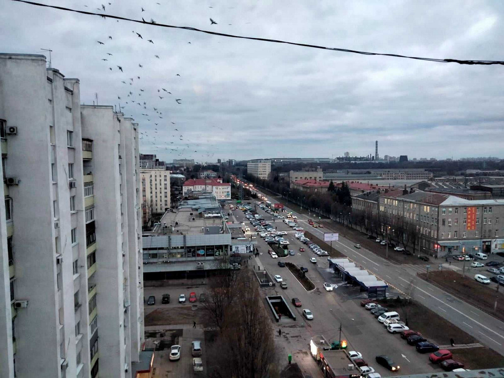 Сдам 1 ком квартиру, метро Завод Малышева - 1 минута Харків - зображення 2