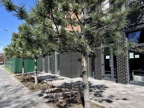 Однокімнатна в ЖК «Atria City Teremky” Чабани