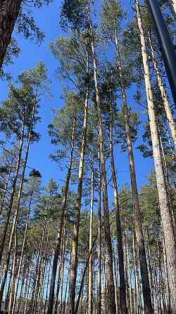 Євродвохкімнатна квартира 41м Буча