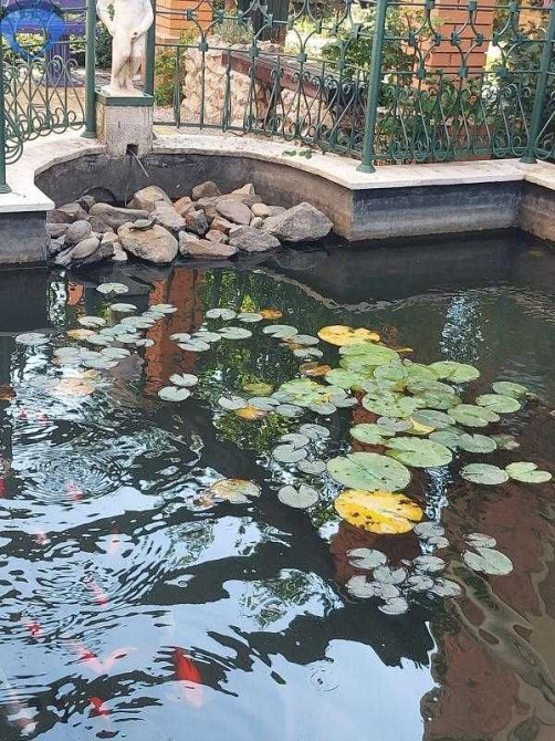 Квартира в ЖК " Зеленый мыс" Крижанівка - зображення 7