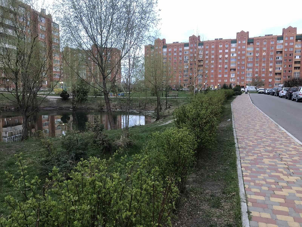 Оренда 1 кім. квартири в м. Бориспіль  ЖК Левада. Бориспіль - зображення 1