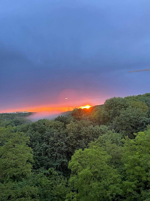 Ближній центр Зелена Парк Погулянка сонячнй оперний театр площа ринок Львів - зображення 8