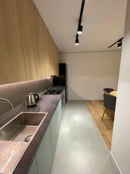 Ближній центр Зелена Парк Погулянка сонячнй оперний театр площа ринок Львів - зображення 4