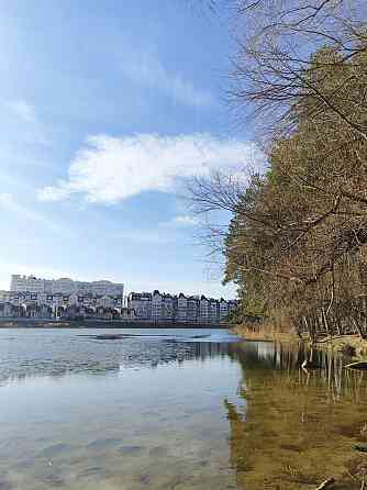 Здам квартиру Стрілецька набережна Чернігів