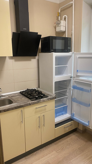 Аренда2к Криворожская Рабочая Чечеловский Каверина Кленовая С Ремонтом Днепр - изображение 5