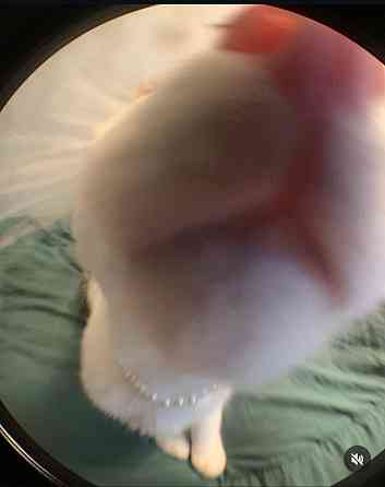 Здається 1к. Квартира Ивано-Франковск