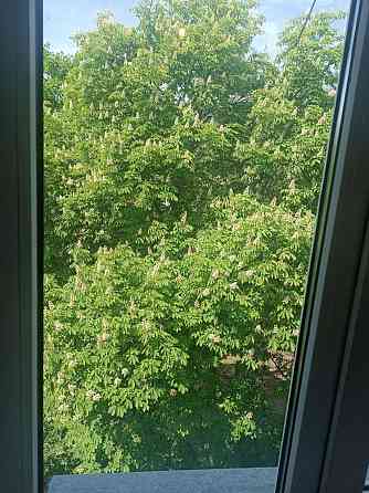 Здам 3 кімн. квартиру, Київ Шевченківський район, метро Дорогожичі Киев