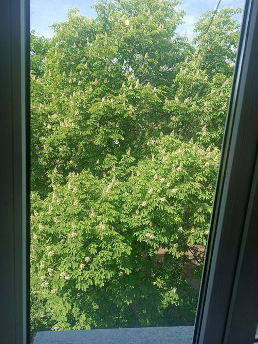 Здам 3 кімн. квартиру, Київ Шевченківський район, метро Дорогожичі Киев - изображение 4