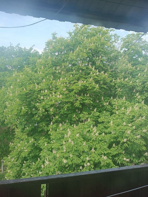 Здам 3 кімн. квартиру, Київ Шевченківський район, метро Дорогожичі Киев - изображение 8