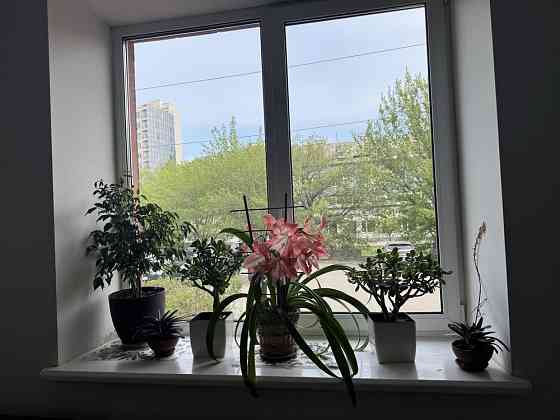 Сдам 1 комн. квартиру ЖК Изумрудный город,Авантаж,м.Бот.Сад Харьков